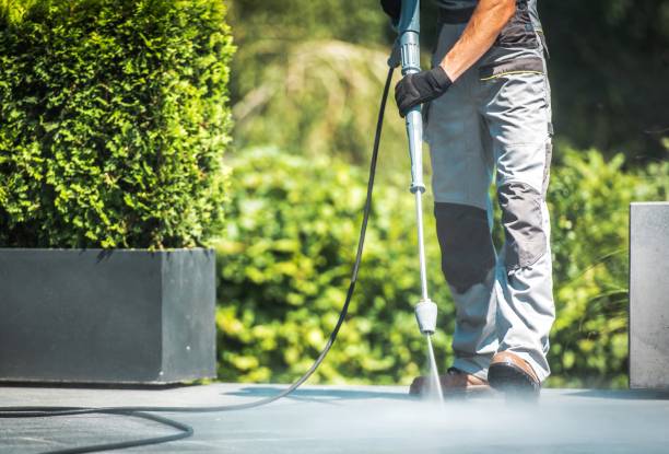 Best Gutter Cleaning  in Britton, SD