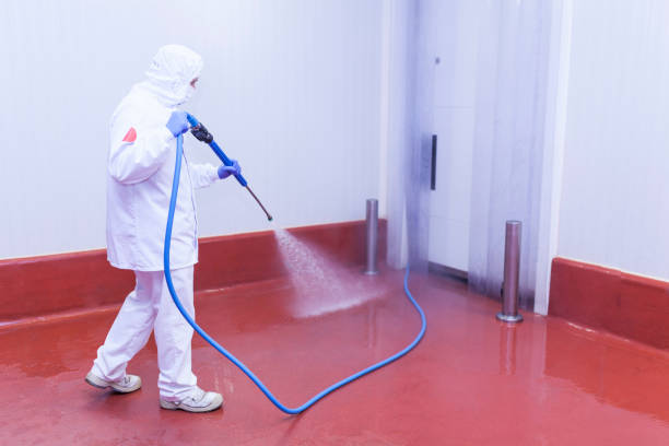 Best Graffiti Removal  in Britton, SD